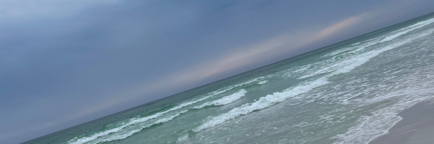 dessasdaughtr's profile banner image