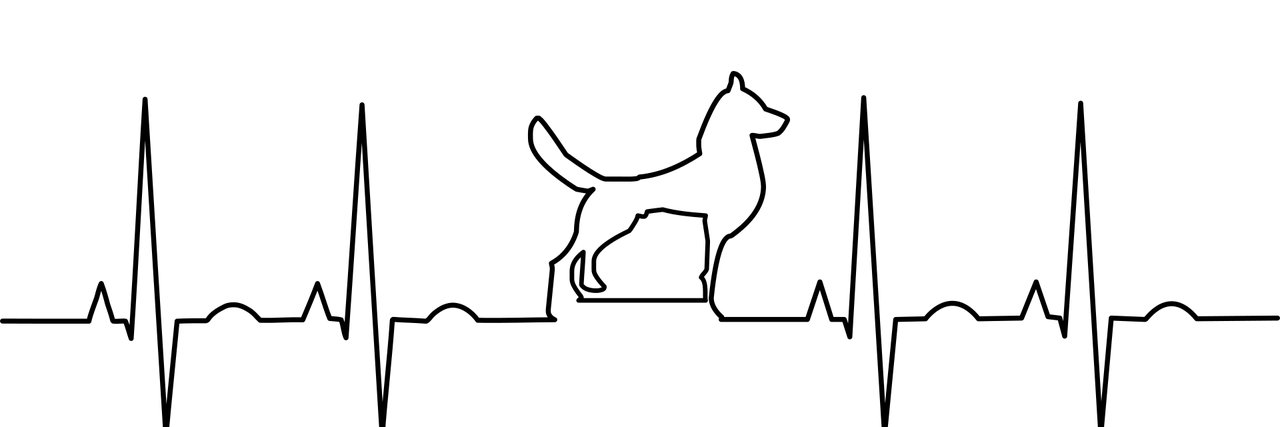 satoshi07qb's profile banner image