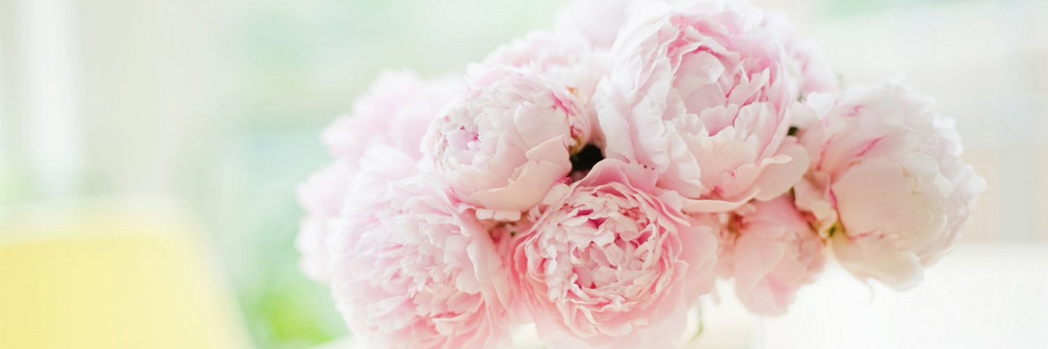 limier59's profile banner image