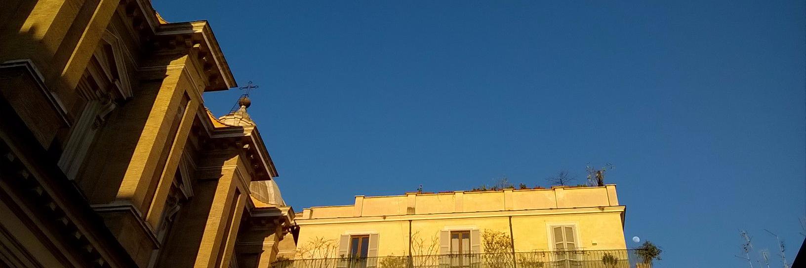Dr Elisa Perego's banner