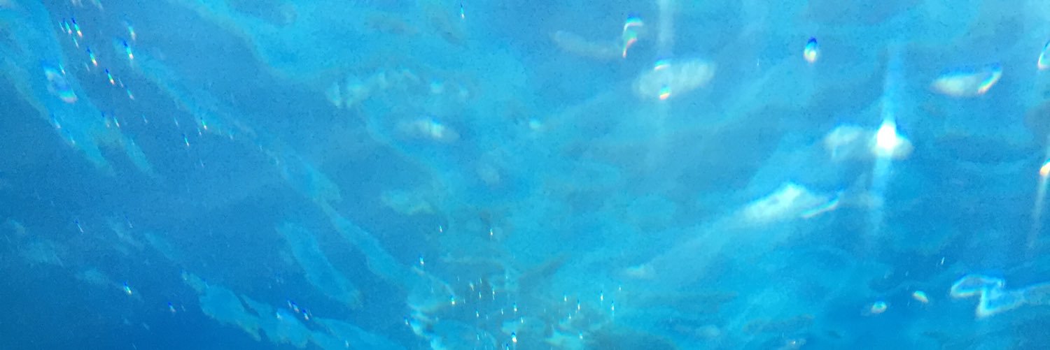 DoublePepper's profile banner image