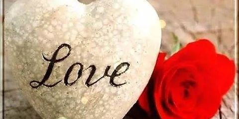 gu80585900's profile banner image