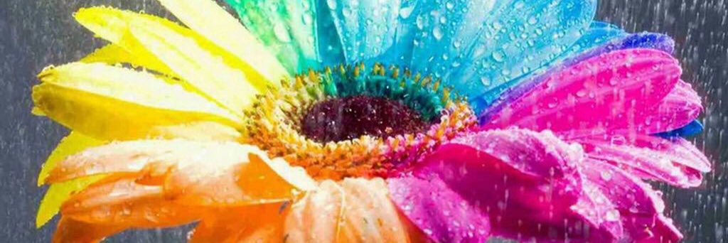 mayutlove's profile banner image