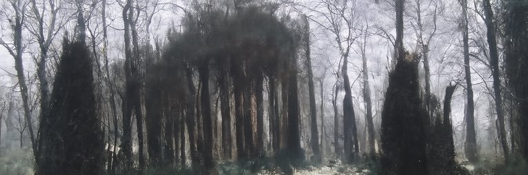 ShankedMarble's profile banner image