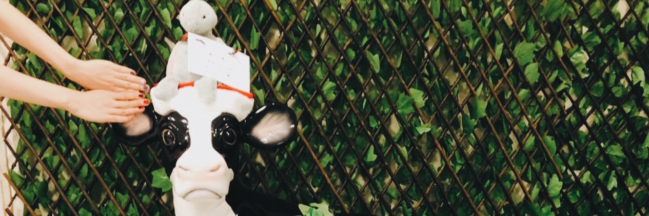 pii_aimer's profile banner image
