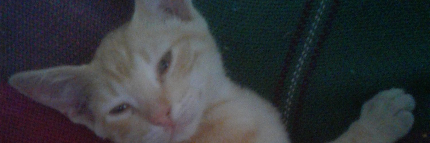 abransolorzan68's profile banner image