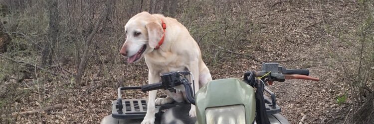 HHoyne's profile banner image