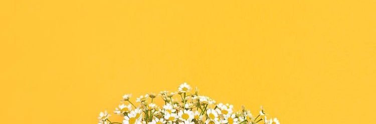 janotherp's profile banner image