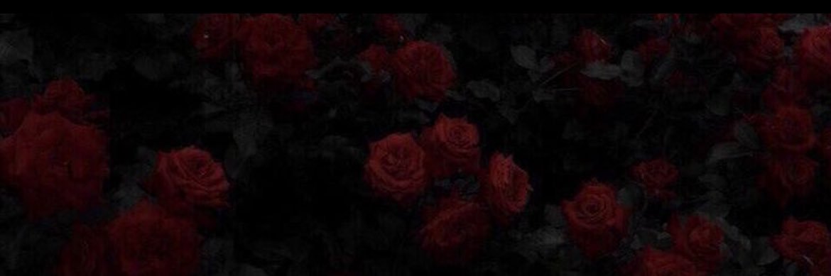 Raager0's profile banner image