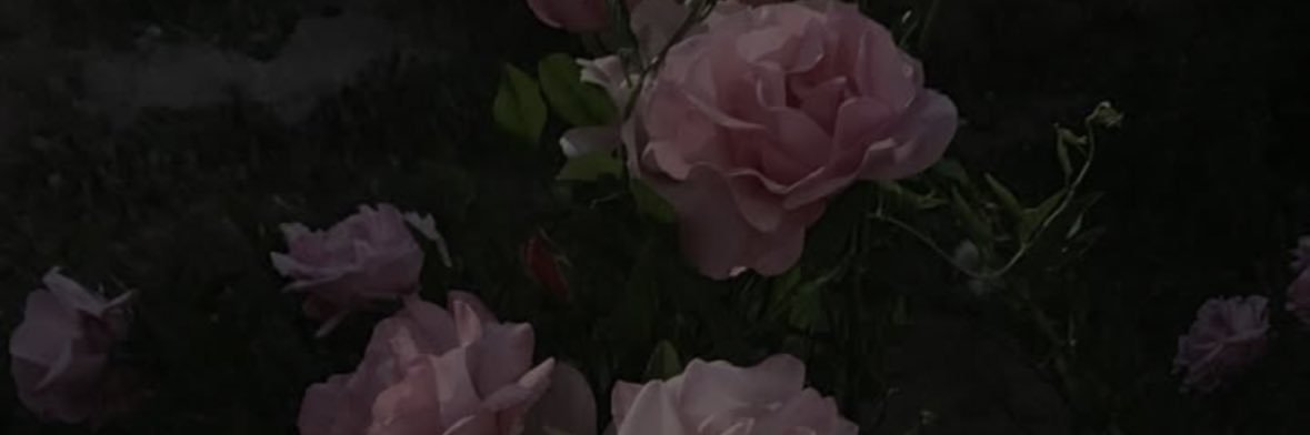 hinata_exorv21's profile banner image