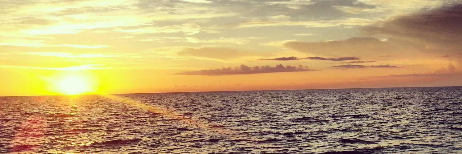 BeachBiitch's profile banner image