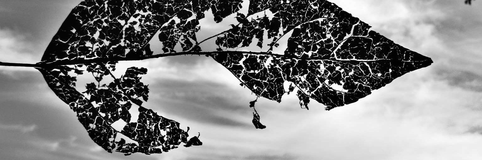 hangedmanXII's profile banner image