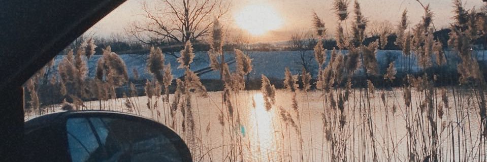 charlottepags's profile banner image