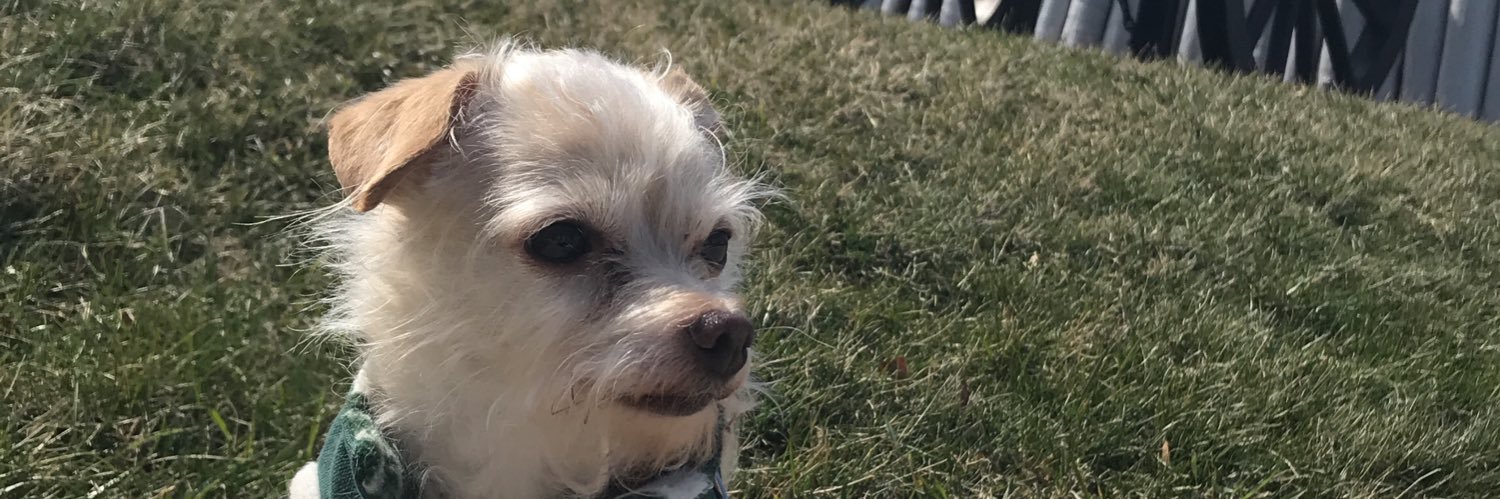 therealdogluke's profile banner image