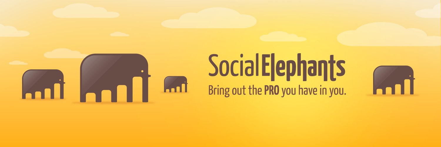 Social Elephants 🐘 banner