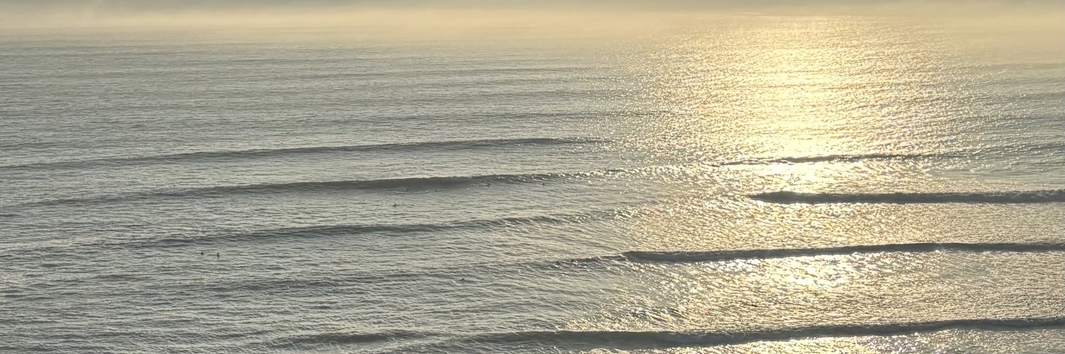 msslp111's profile banner image
