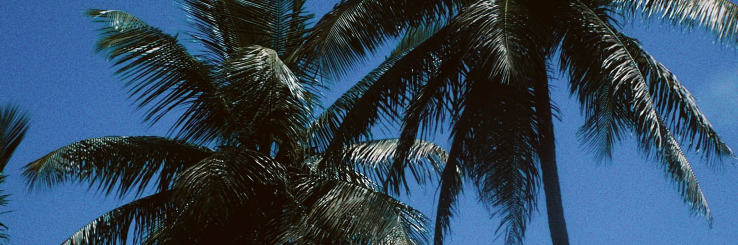 emmballantyne's profile banner image