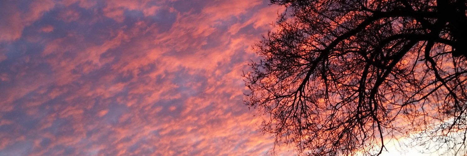 julyd's profile banner image