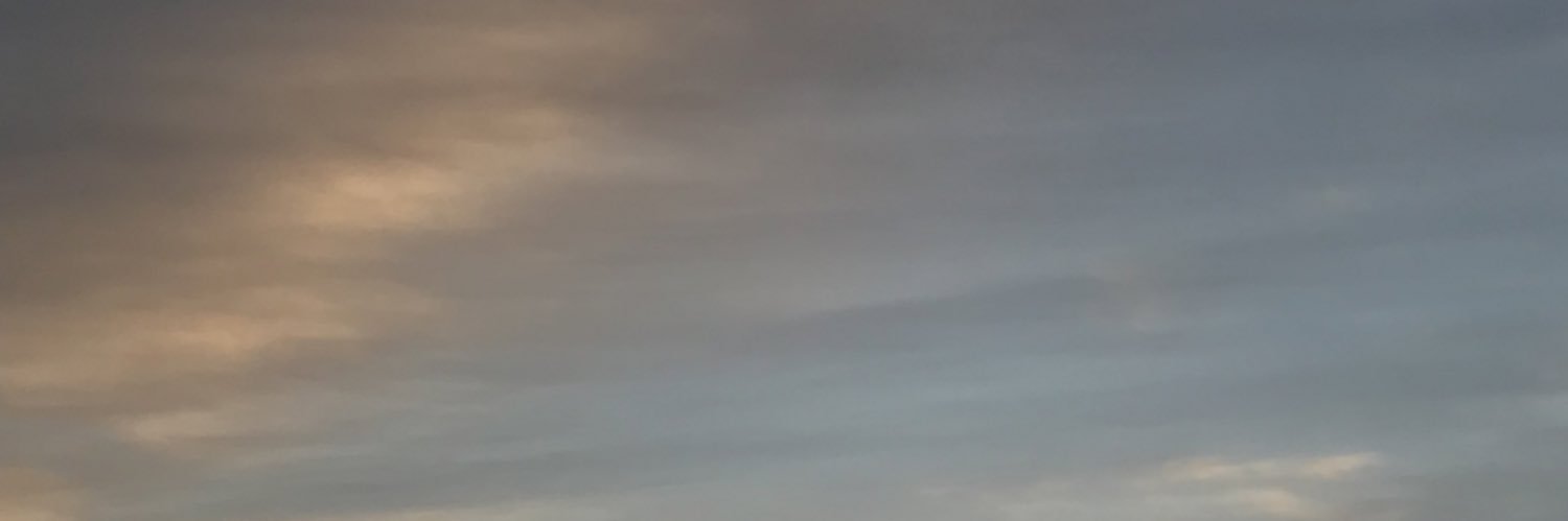 divinusfemme's profile banner image