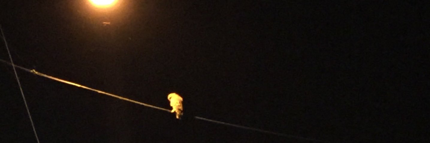 LayToasty's profile banner image