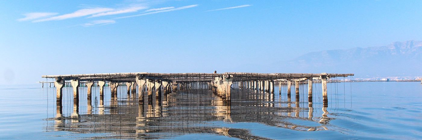 Francesc Vallès banner
