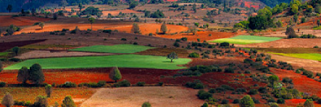 SilvanaItaliano's profile banner image