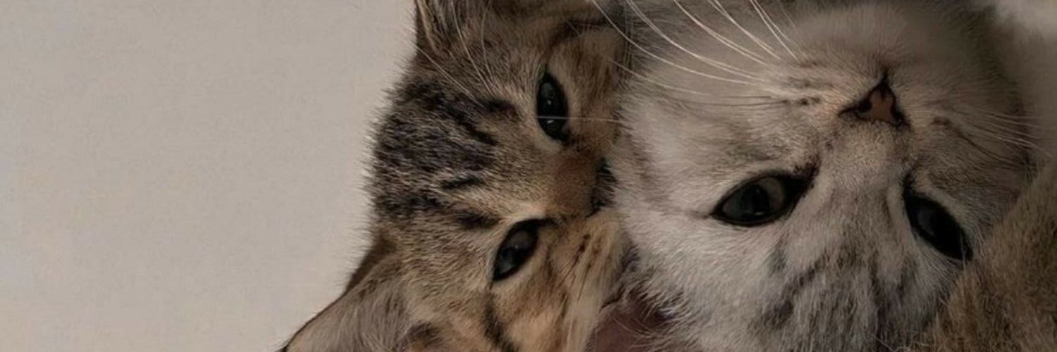 ggiuliec's profile banner image