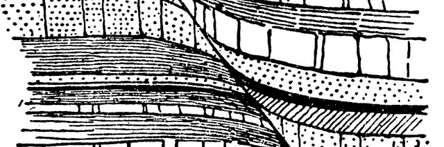 Dr. Sally Blackburn-Daniels banner