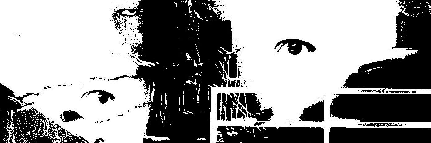 NiceCucumber's profile banner image