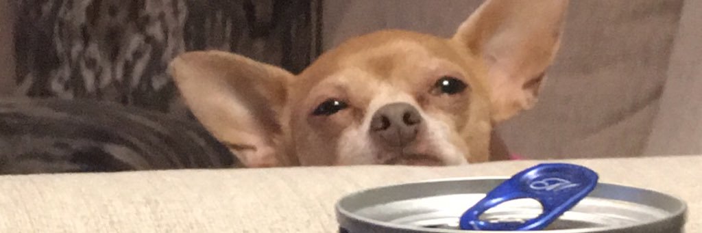 PhilippeWhitnie's profile banner image