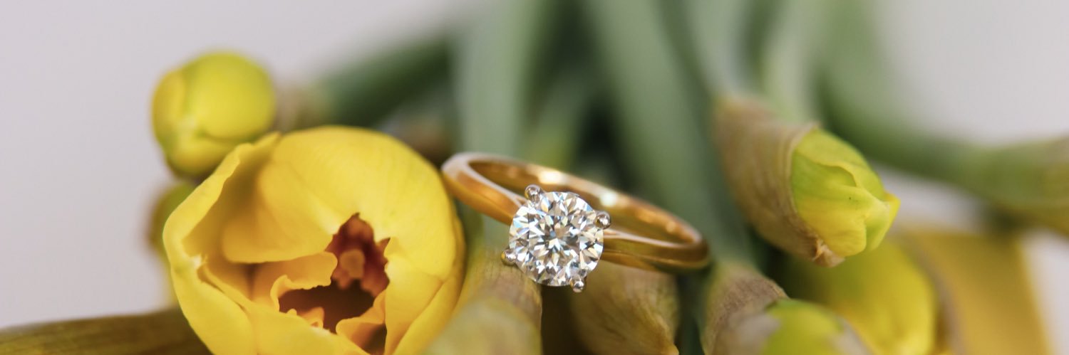 𝕎𝕪𝕝𝕕𝕖 𝕁𝕖𝕨𝕖𝕝𝕝𝕖𝕣𝕤 banner