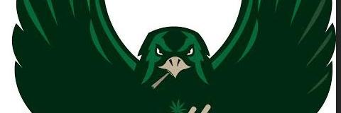 CheebaHawkConsortion banner