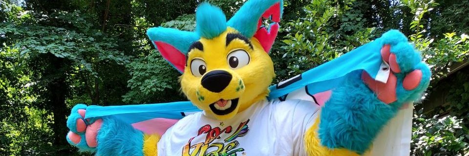 Boba_Space_Dog's profile banner image