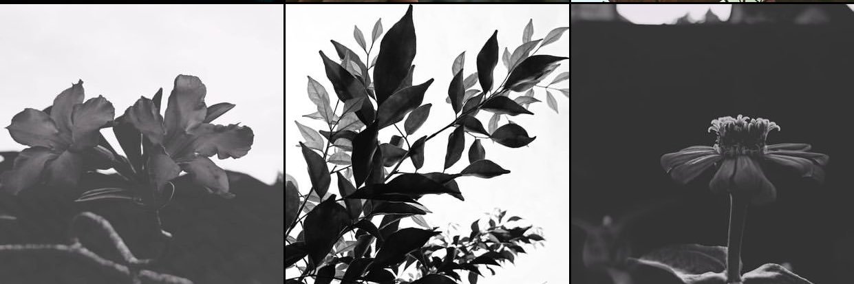 TMArieffin's profile banner image