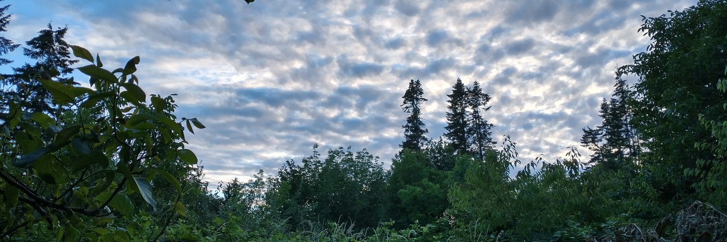 HL Selander 🌎🌊🇺🇲🌻🇺🇦🌻🌊🌏 banner