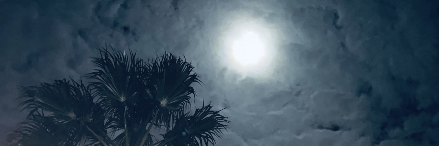 _NickViveros's profile banner image