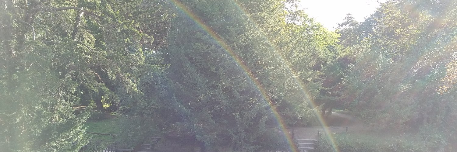ShelluvE's profile banner image