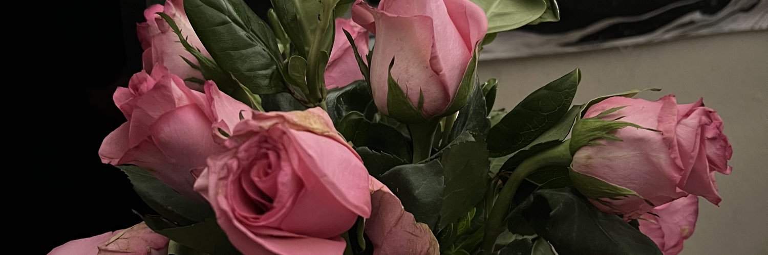 daniflo20's profile banner image