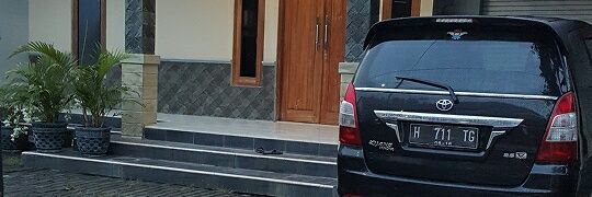 Amelia.aldi banner