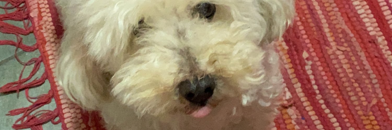camilabaez0's profile banner image