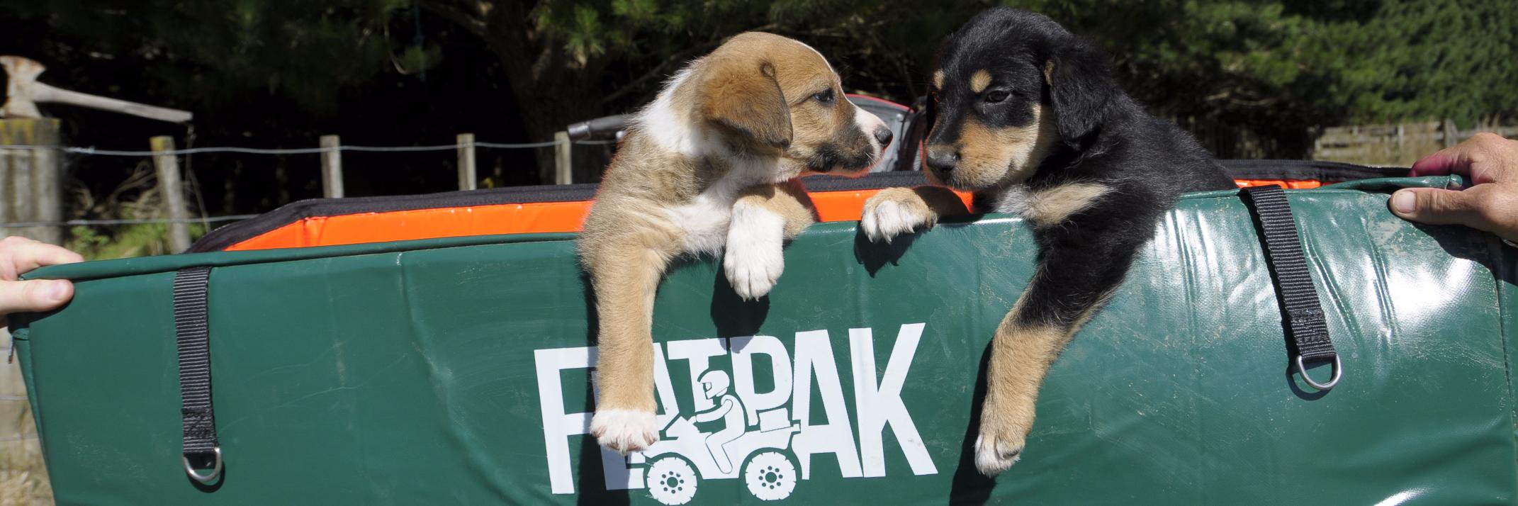 Flatpak banner