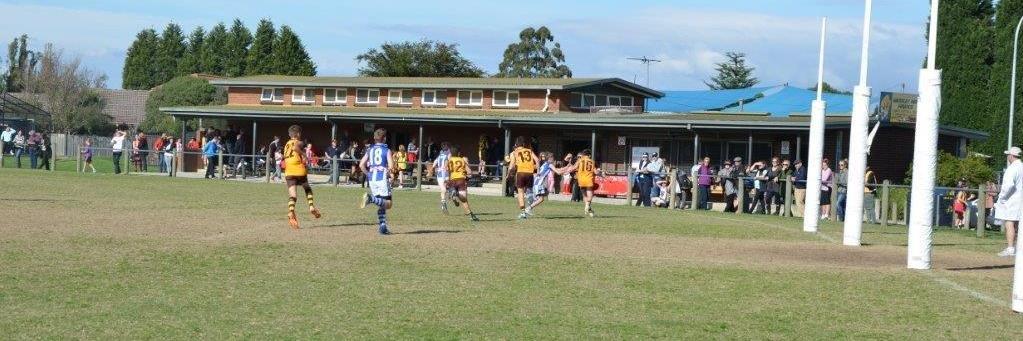 wphawksjfc's profile banner image
