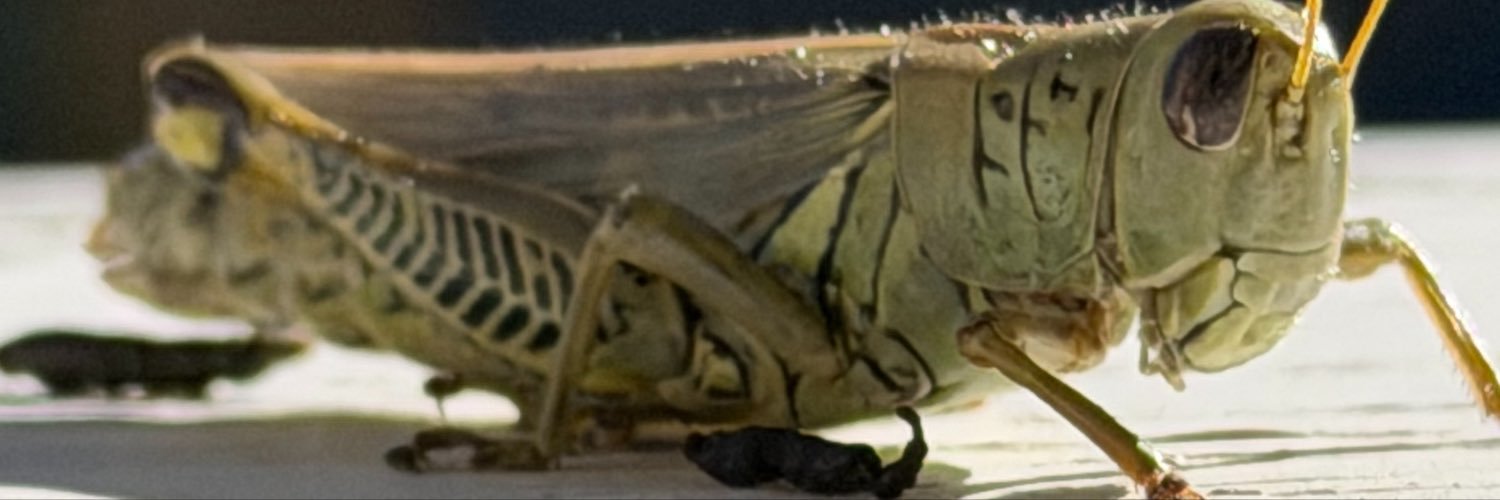 DeskPop_Actual's profile banner image