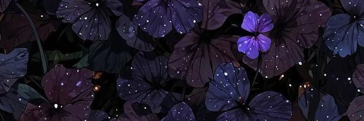 tayciie's profile banner image