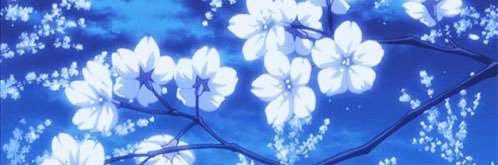 SmellyScarada's profile banner image
