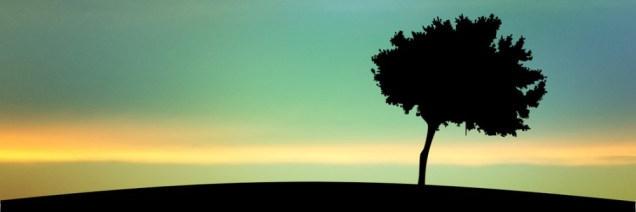 Yuvathi_TCYA's profile banner image