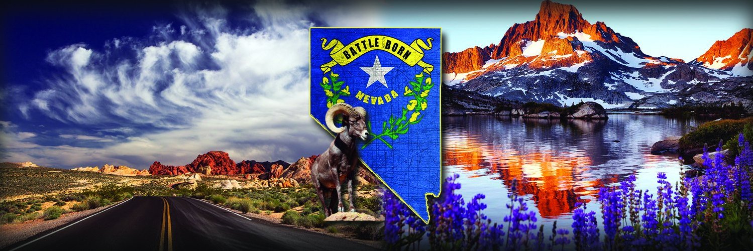 RNRNevada's profile banner image