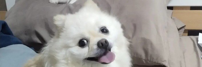 theponue's profile banner image