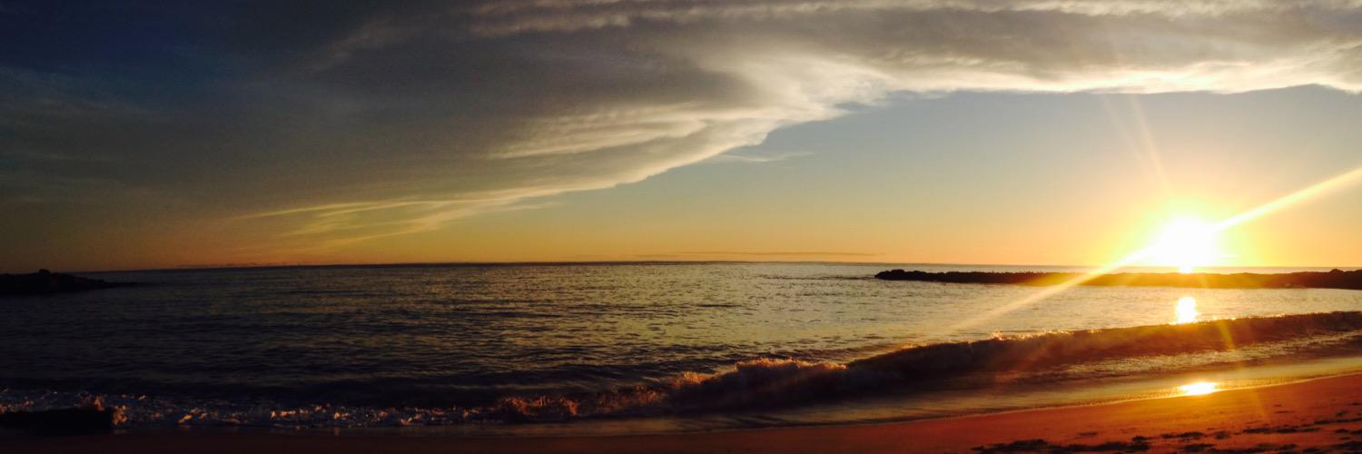 Adam Carmichael banner