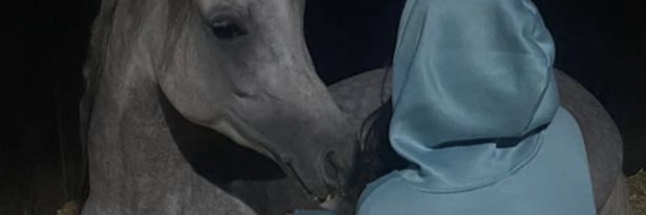 xnono_3's profile banner image